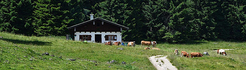 Almwirtschaftlicher Verein Oberbayern