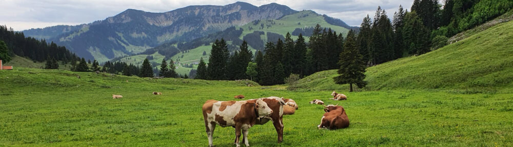 Almwirtschaftlicher Verein Oberbayern